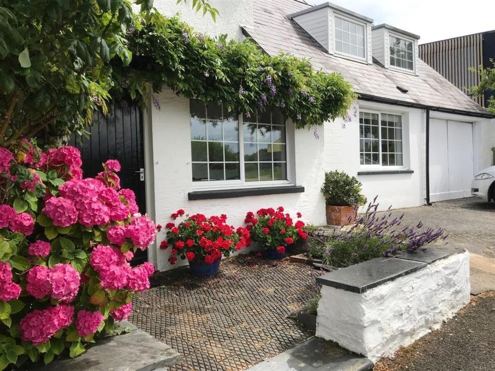 Beach Retreat Aberporth Bagian luar foto